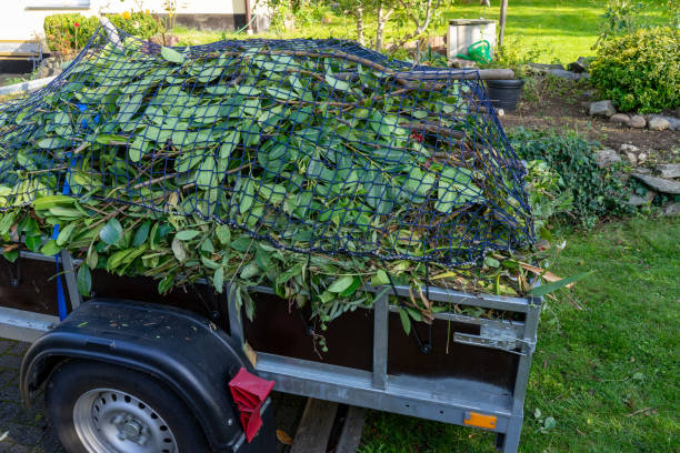 Recycling Services for Junk in Berlin, OH